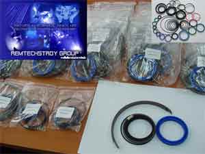 REM.HZ01.100 Seal Kit (Dichtungssatz) {Replace Plasser HZ01.100 Seal Kit}