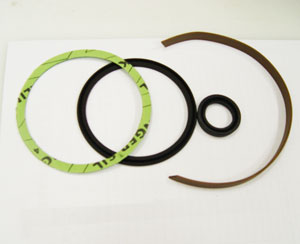 REM.PN2Z-100DS Seal Kit (Dichtungssatz) {Replace Plasser PN2Z-100DS}