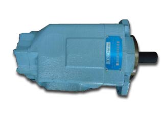 REM.HY831X38.17LI Double pump (Replace Plasser HY831X38.17LI) 